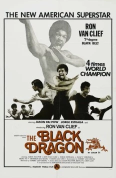 Чёрный Дракон / Xia nan yang (1974)