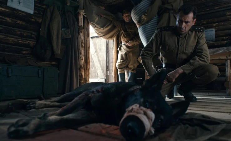 Солдат по кличке Рекс 2025 скачать с торрента Солдат по кличке Рекс 2025 скачать с торрента