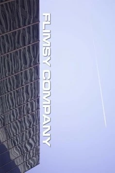 Сомнительная компания / Flimsy Company (2018)