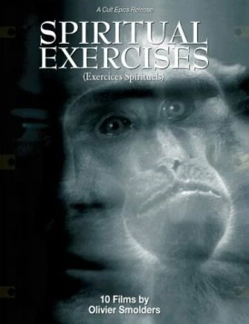 Любитель / L'amateur (1996)