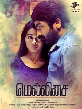 Несовершенная загадка (2017)