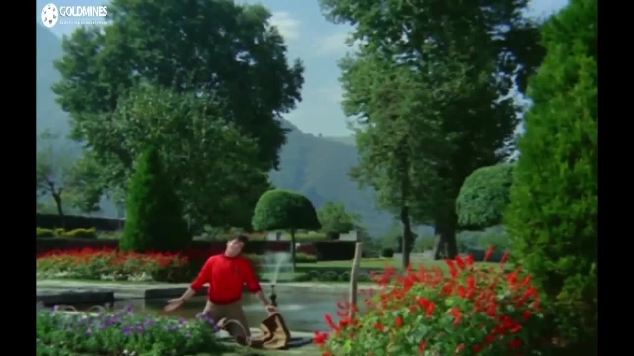 Грешное Божество / Gunahon Ka Devta (1967)