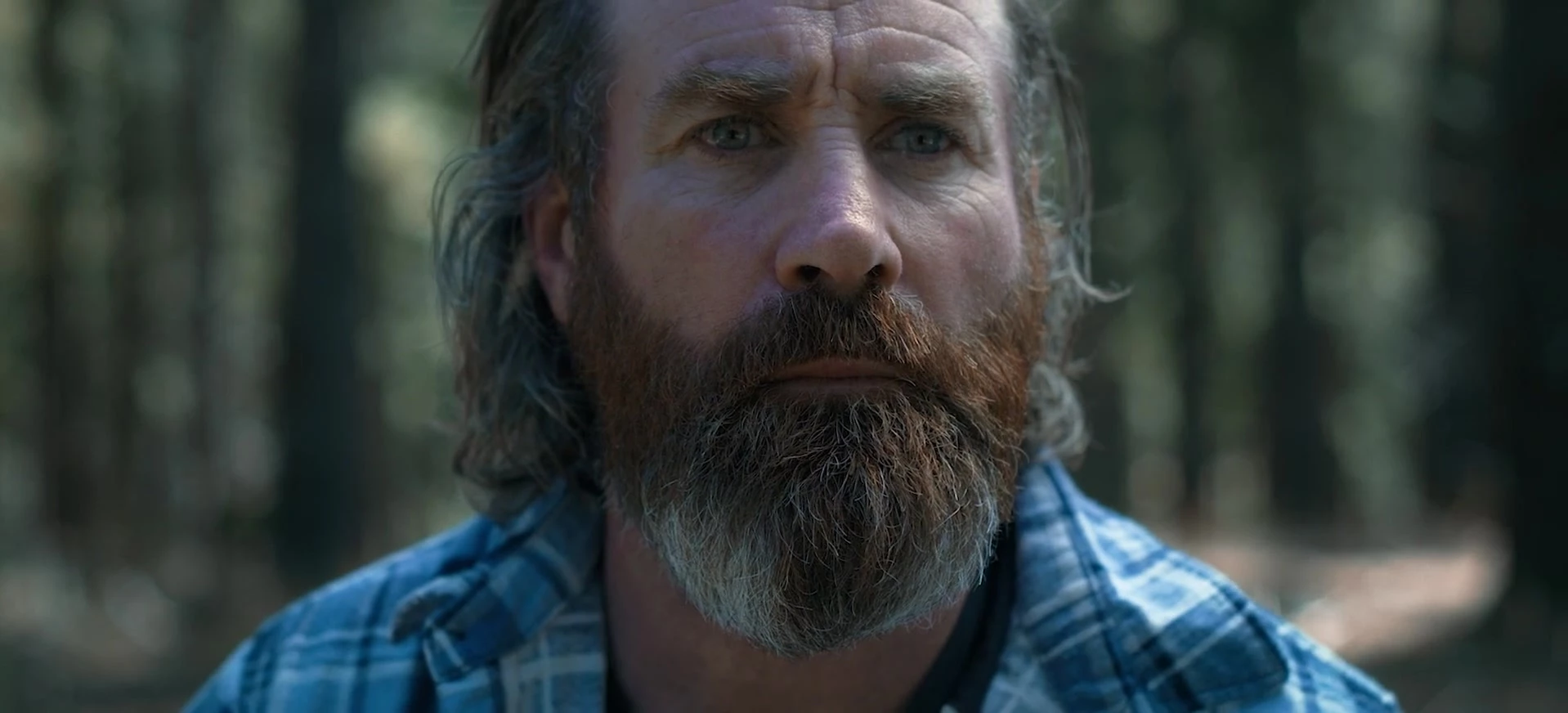 Среди сосен / Within the Pines (2024)