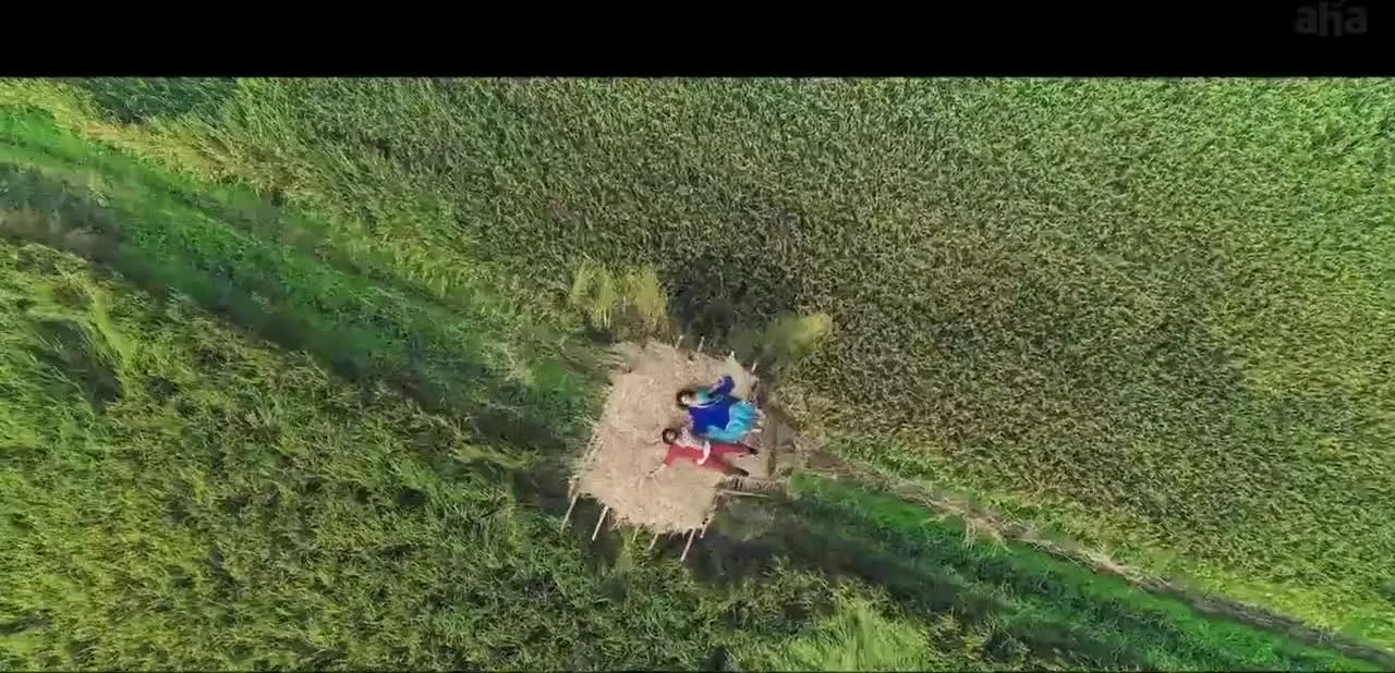 Звание / Darja (2022)