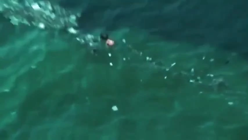 Бейрут 303 / Beirut 303 (2022)