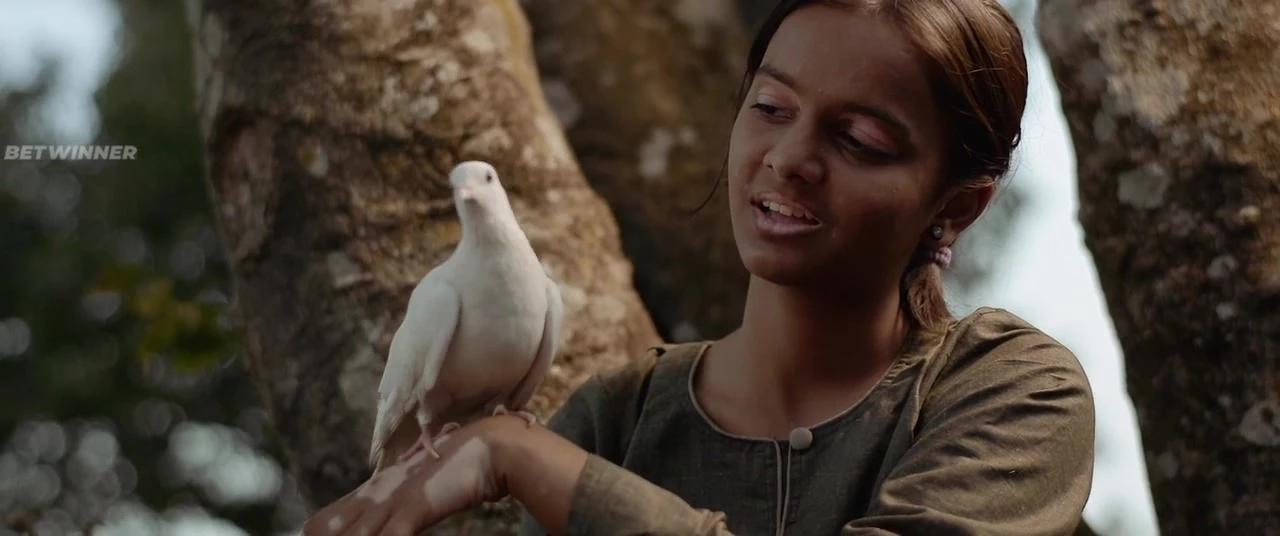 Имаго / Imago (2018)