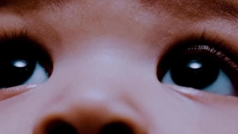 Похищение: Жатва / Coyote Woman (2022)