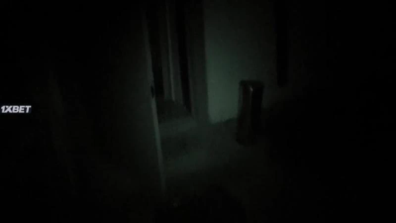 Незнакомец в лесу / A Stranger in the Woods (2024)