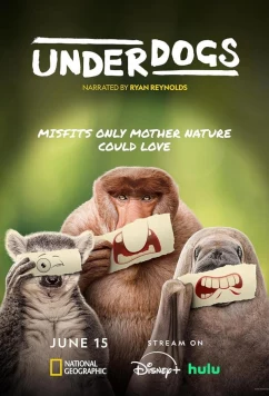 Аутсайдеры / Underdogs (2025)