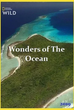 Чудеса океана / Wonders of The Ocean (2019)