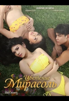 Цветение Мирасоль / Ang pamumukadkad ni Mirasol (2025)