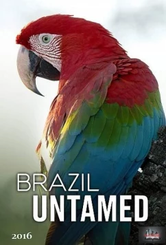 Дикая Бразилия / Brazil Untamed (2016)