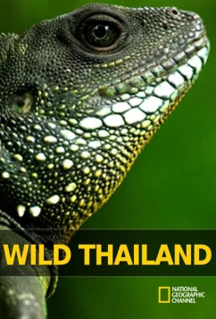Дикая природа Таиланда / Wild Thailand (2013)