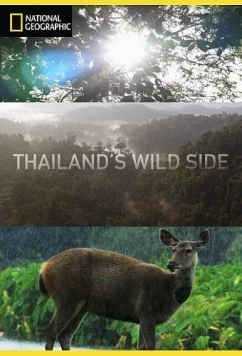 Дикие места Таиланда / Thailand's Wild Side (2020)