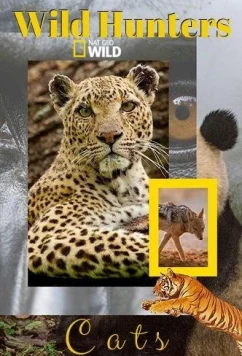 Дикие охотники. Кошки / Wild Hunters. Cats (2019)