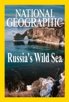 Дикое море России / Russia's Wild Sea (2019)