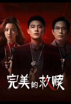 Идеальный подозреваемый (2025)