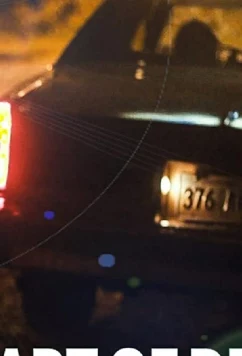 Искусство обмана / Art of Deception (2019)