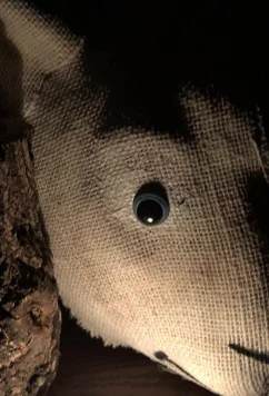 История Марии / Maria's Tale (2018)