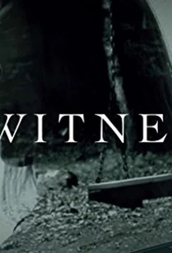 Я, свидетель / I, Witness (2017)
