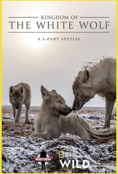 Королевство белого волка / Kingdom of the White Wolf (2019)