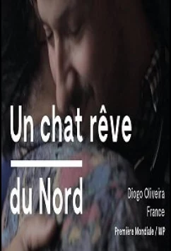 Кот, мечтающий о севере / Un Chat Rêve Du Nord (2020)