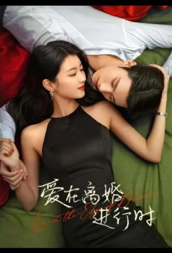 Любовь на грани развода / Love in the Edge of Divorce (2025)