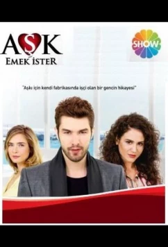 Любовь требует усилий / Aşk Emek İster (2013)