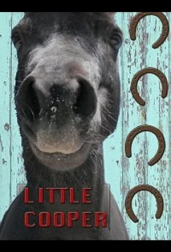 Маленький Купер / Little Cooper (2020)