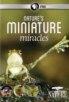 Миниатюрные чудеса / Nature's Miniature Miracles (2017)