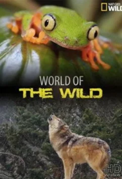Мир дикой природы / World of the Wild (2016)