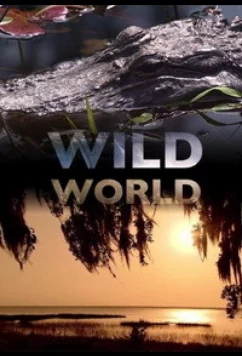 Мир Дикой Природы / Wild World (2010)