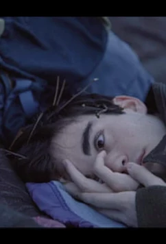 Музей спит / Un musée dort (2020)