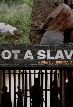 Мы не рабы / Not a Slave (2021)