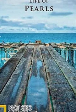 National Geographic. Секретная жизнь жемчужин / The Secret Life of Pearls (2015)