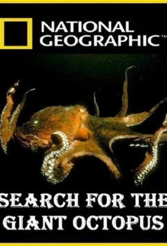 National Geographic. В поисках гигантского осьминога / Search for the Giant Octopus (2009)
