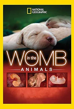 National Geographic. Жизнь до рождения: Собаки / In The Womb Dogs (2008)