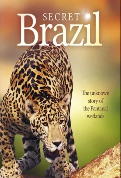 Неизвестная Бразилия / Secret Brazil (2012)