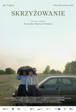 Перекресток / Skrzyzowanie (2024)