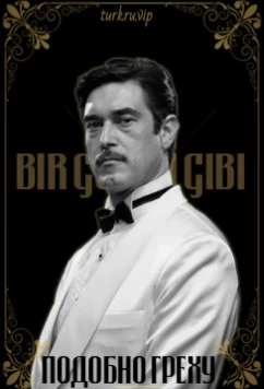 Подобно греху / Bir Günah (2011)