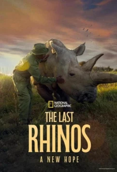 Последние носороги: Новая надежда / The Last Rhinos: A New Hope (2025)
