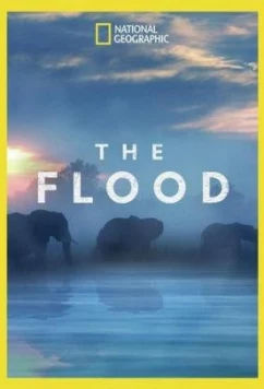 Потоп / The Flood (2018)