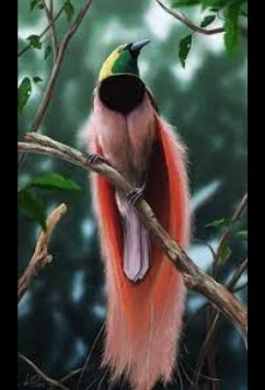 Райские птицы (2021)