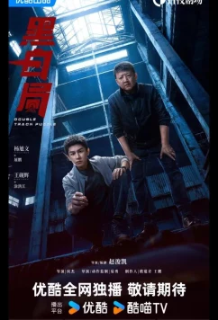 Развилка к правде / Игра в черное и белое / Чёрно-белое бюро / Double Track Puzzle / Hei Bai Ju (2025)