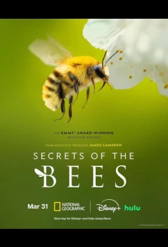 Секреты пчёл / Secrets of the Bees (2026)