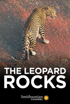 Скала леопардов / The Leopard Rocks (2017)