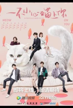 Случайный мяу / Accidentally Meow on You (2024)