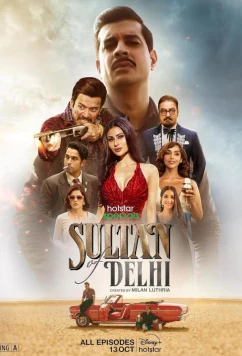 Султан Дели / Sultan of Delhi (2023)