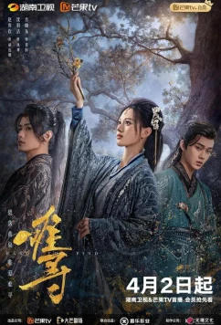 Трудно обрести / Nan Xun / Hard to Find (2024)