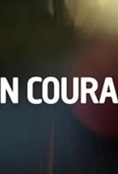 Участок / Main courante (2012)